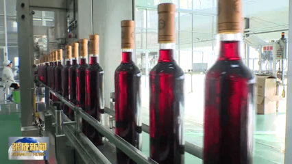 【視頻】高臺:力促工業經濟提質增效