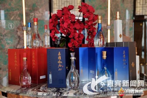 業(yè)績倍增敘府酒5年規(guī)劃出臺(tái) 多元賦能打造 川酒第二級標(biāo)桿產(chǎn)品